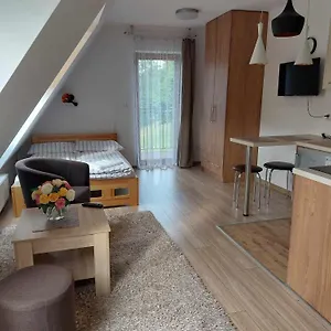 https://apartamenty-cede-zakopane.zakopanehotels.org